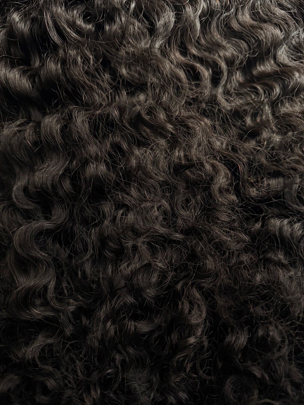 Ocean Curlé Bundles