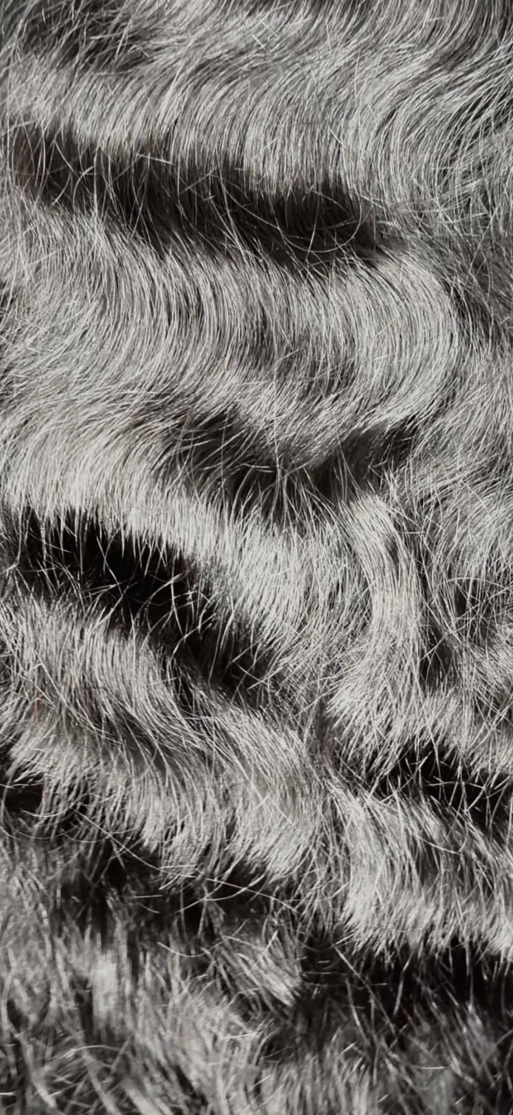 Raw Indian Bundles
